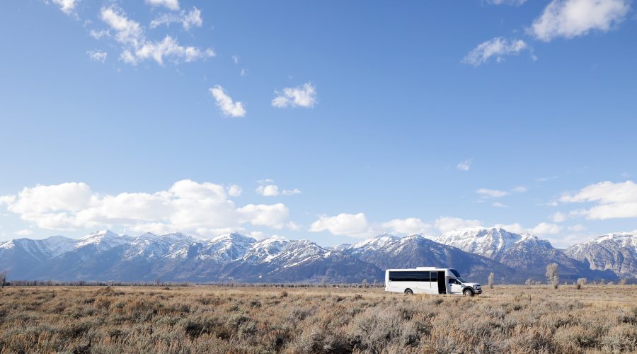 All photos ©RemikerPhotography2021Canon EOS R6Photo: ©RemikerPhotographyc: 708.471.0833e: remiker@me.com_________http://www.remikerphotography.comhttp://www.facebook.com/remikerphotographyhttp://www.instagram.com/remikerphotography